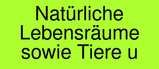 Klasse01SommerferienThema06